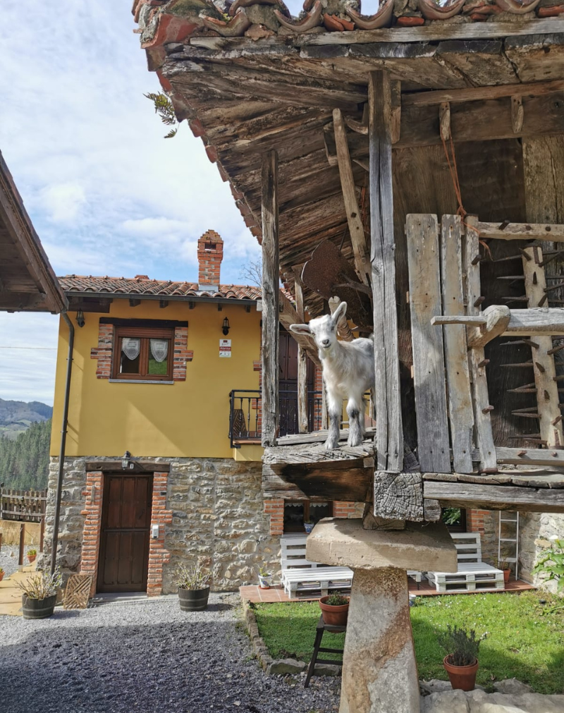 Carroceu rural Asturias